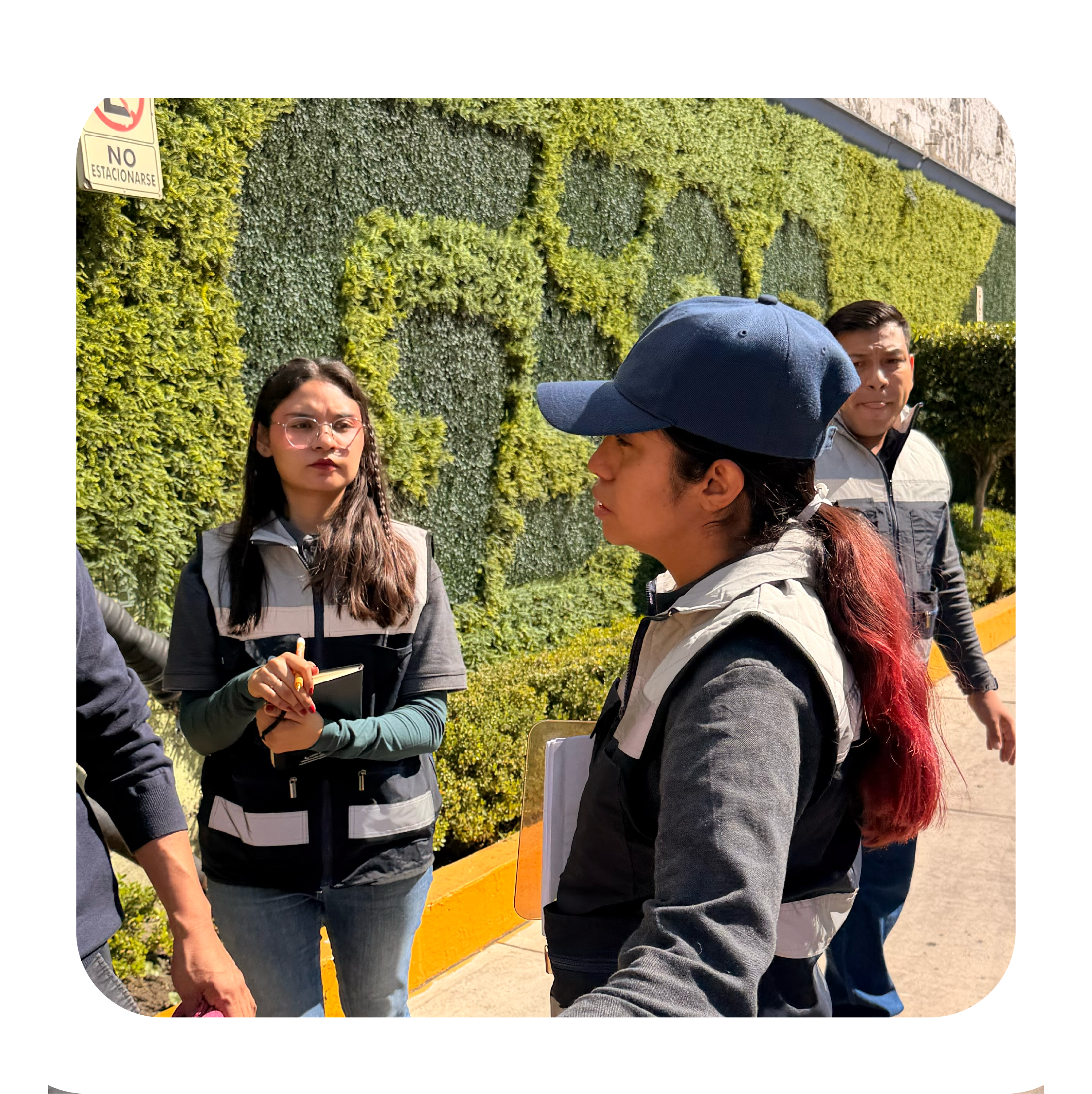 Servicios especializados