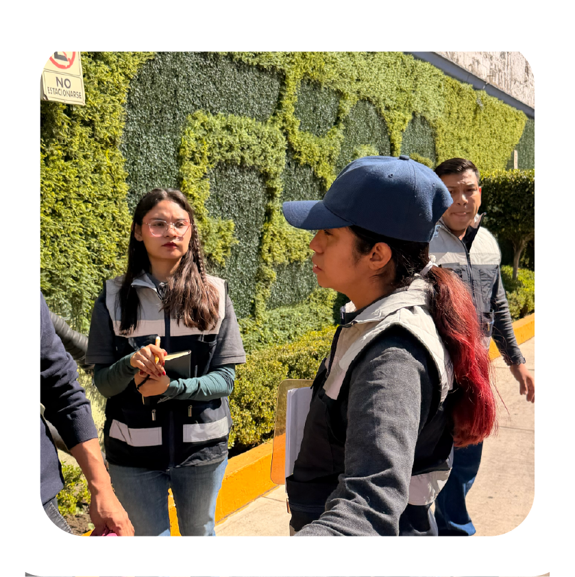 Servicios especializados